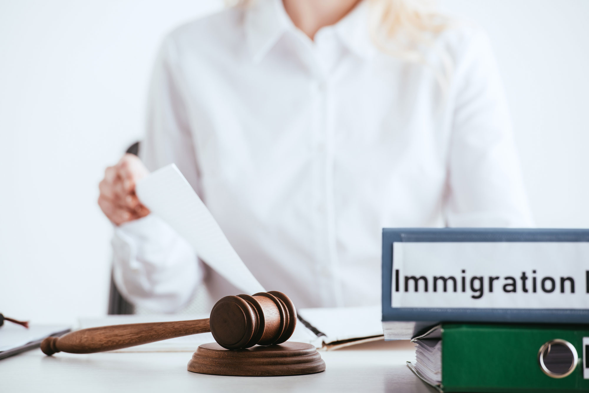 Immigration Law 